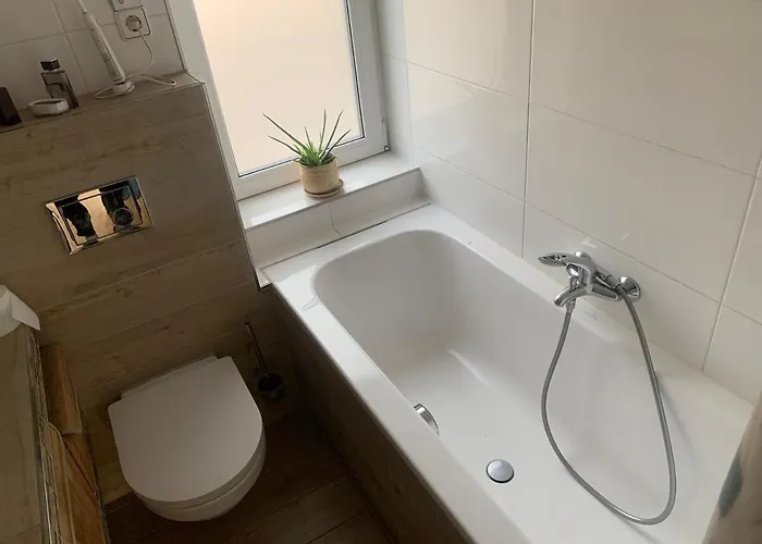 Noh-sunny Daire Nordhorn